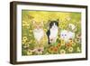 Kittens in the Garden-William Vanderdasson-Framed Giclee Print