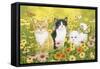 Kittens in the Garden-William Vanderdasson-Framed Stretched Canvas