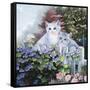 Kittens in the Master's Garden-Jenny Newland-Framed Stretched Canvas