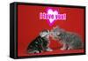 Kittens Kissing under a Valentines Heart-null-Framed Stretched Canvas