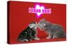 Kittens Kissing under a Valentines Heart-null-Stretched Canvas