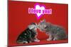 Kittens Kissing under a Valentines Heart-null-Mounted Photographic Print