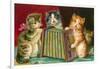 Kittens Playing Concertina-null-Framed Art Print