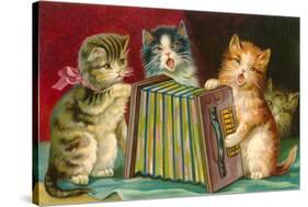 Kittens Playing Concertina-null-Stretched Canvas