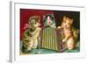 Kittens Playing Concertina-null-Framed Art Print