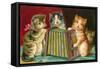 Kittens Playing Concertina-null-Framed Stretched Canvas