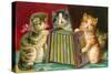 Kittens Playing Concertina-null-Stretched Canvas