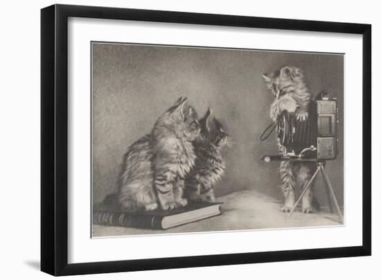 Kittens Playing Photographer-null-Framed Art Print