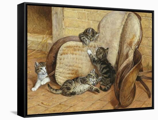 Kittens Playing-Frank Paton-Framed Stretched Canvas