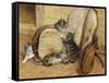 Kittens Playing-Frank Paton-Framed Stretched Canvas