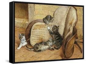 Kittens Playing-Frank Paton-Framed Stretched Canvas