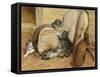 Kittens Playing-Frank Paton-Framed Stretched Canvas