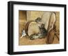 Kittens Playing-Frank Paton-Framed Giclee Print