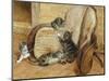 Kittens Playing-Frank Paton-Mounted Giclee Print