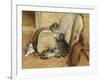 Kittens Playing-Frank Paton-Framed Giclee Print