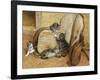 Kittens Playing-Frank Paton-Framed Giclee Print