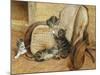 Kittens Playing-Frank Paton-Mounted Giclee Print