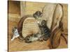 Kittens Playing-Frank Paton-Stretched Canvas