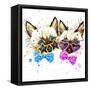 Kittens Twins T-Shirt Graphics. Kittens Twins Illustration with Splash Watercolor Textured Backgro-Dabrynina Alena-Framed Stretched Canvas