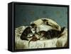 Kittens up to Mischief-Horatio Henry Couldery-Framed Stretched Canvas