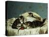 Kittens up to Mischief-Horatio Henry Couldery-Stretched Canvas