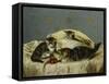 Kittens Up to Mischief-Horatio Henry Couldery-Framed Stretched Canvas
