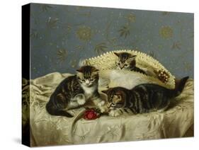 Kittens Up to Mischief-Horatio Henry Couldery-Stretched Canvas