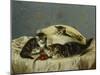 Kittens Up to Mischief-Horatio Henry Couldery-Mounted Giclee Print