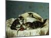 Kittens up to Mischief-Horatio Henry Couldery-Mounted Giclee Print