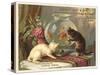 Kittens Watching Fish in Bowl-null-Stretched Canvas