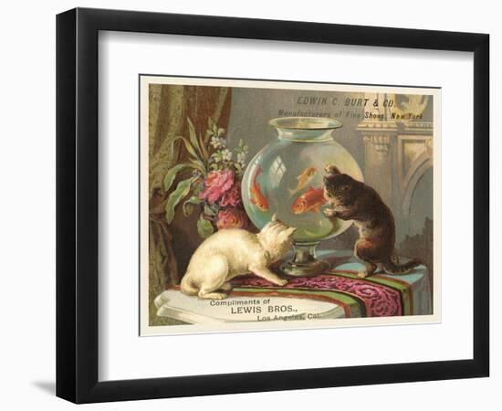 Kittens Watching Fish in Bowl-null-Framed Art Print