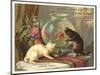 Kittens Watching Fish in Bowl-null-Mounted Art Print