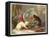 Kittens Watching Fish in Bowl-null-Framed Stretched Canvas