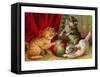 Kittens with Ball-null-Framed Stretched Canvas