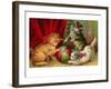 Kittens with Ball-null-Framed Art Print