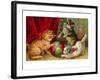 Kittens with Ball-null-Framed Art Print