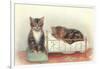 Kittens with Crib-null-Framed Art Print