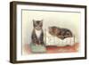 Kittens with Crib-null-Framed Art Print