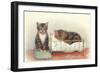 Kittens with Crib-null-Framed Art Print