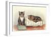 Kittens with Crib-null-Framed Art Print