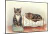 Kittens with Crib-null-Mounted Art Print