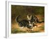 Kittens-Horatio Henry Couldery-Framed Giclee Print