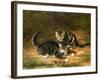 Kittens-Horatio Henry Couldery-Framed Giclee Print