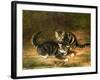 Kittens-Horatio Henry Couldery-Framed Giclee Print