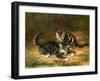 Kittens-Horatio Henry Couldery-Framed Giclee Print