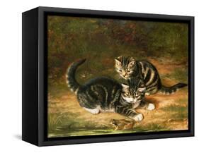 Kittens-Horatio Henry Couldery-Framed Stretched Canvas