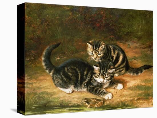 Kittens-Horatio Henry Couldery-Stretched Canvas