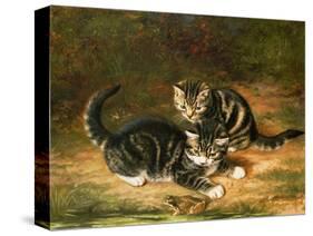 Kittens-Horatio Henry Couldery-Stretched Canvas