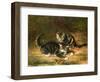Kittens-Horatio Henry Couldery-Framed Giclee Print