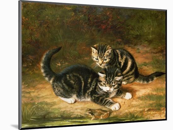 Kittens-Horatio Henry Couldery-Mounted Giclee Print